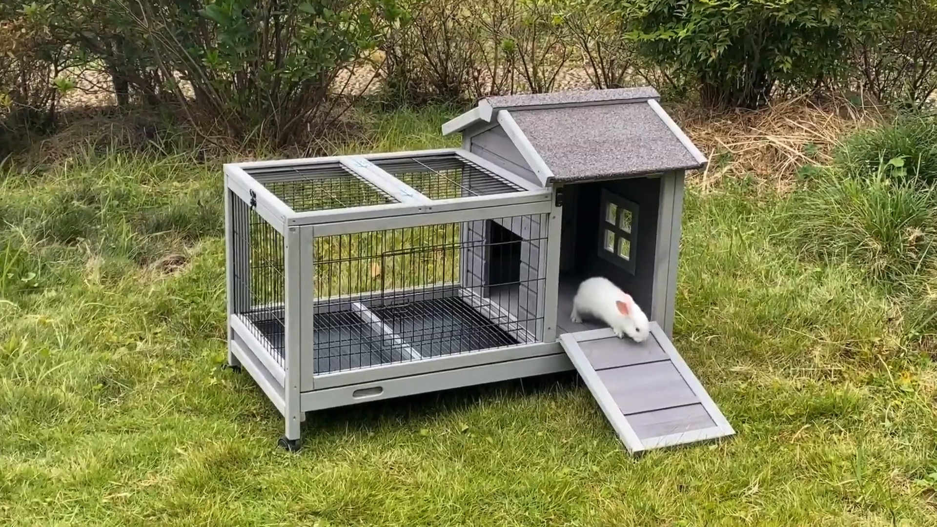 Chewy clearance bunny cages