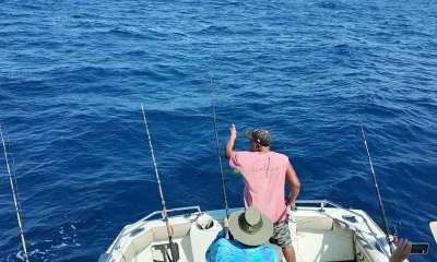 Cabo San Lucas Report Video 0