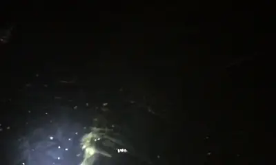 Miami Report Video 1