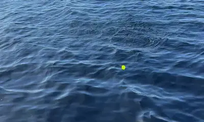 South Bay Report Video 0
