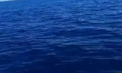 Gulf of California Report Video 2