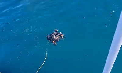 Dana Point Report Video 0