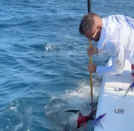 Business Card: eFISHnsea Sportfishing