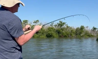 Bokeelia Report Video 0