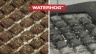 Why WaterHog Mats Are The Best for Your Premises