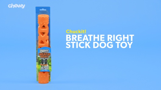 Play Video: Learn More About Chuckit! From Our Team of Experts