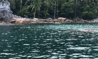 Puerto Vallarta Report Video 1