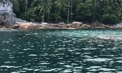 Puerto Vallarta Report Video 0