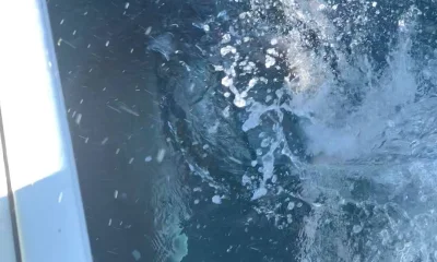 Panama City Beach Report Video 0