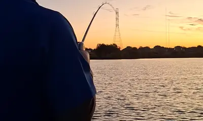 San Antonio Report Video 0