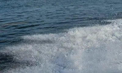 Great Fishing Trip