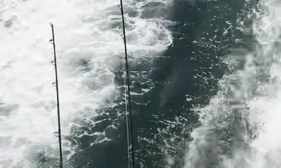 Orange Beach Report Video 0