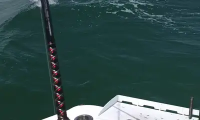 Falmouth Report Video 1
