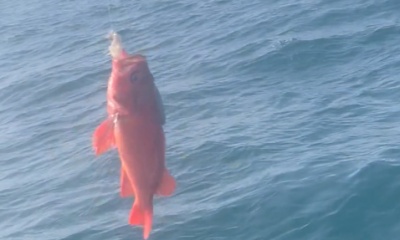 A great day of fishing!