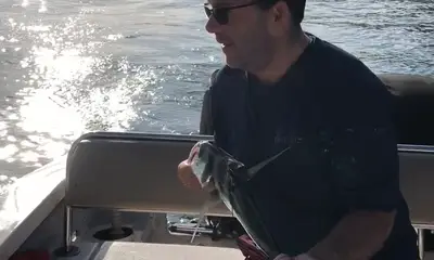 Puerto Vallarta Report Video 0