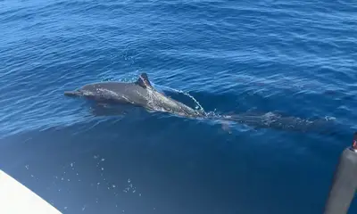 Great Day on the water