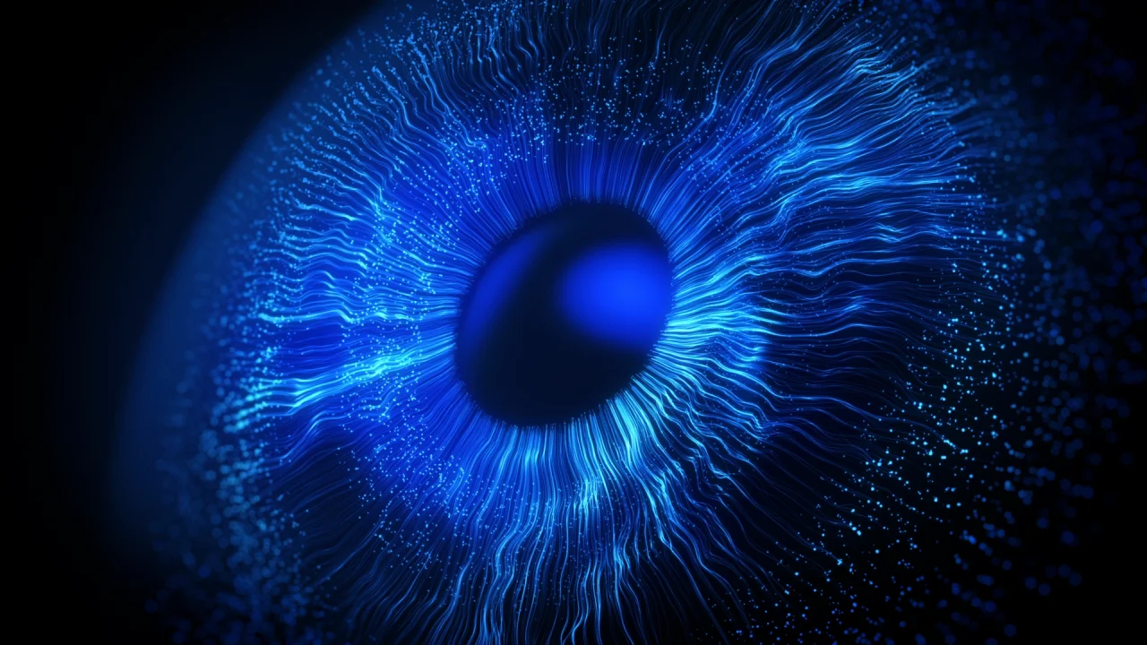 Insights header video v2