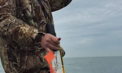 Lorain Bericht Video 0