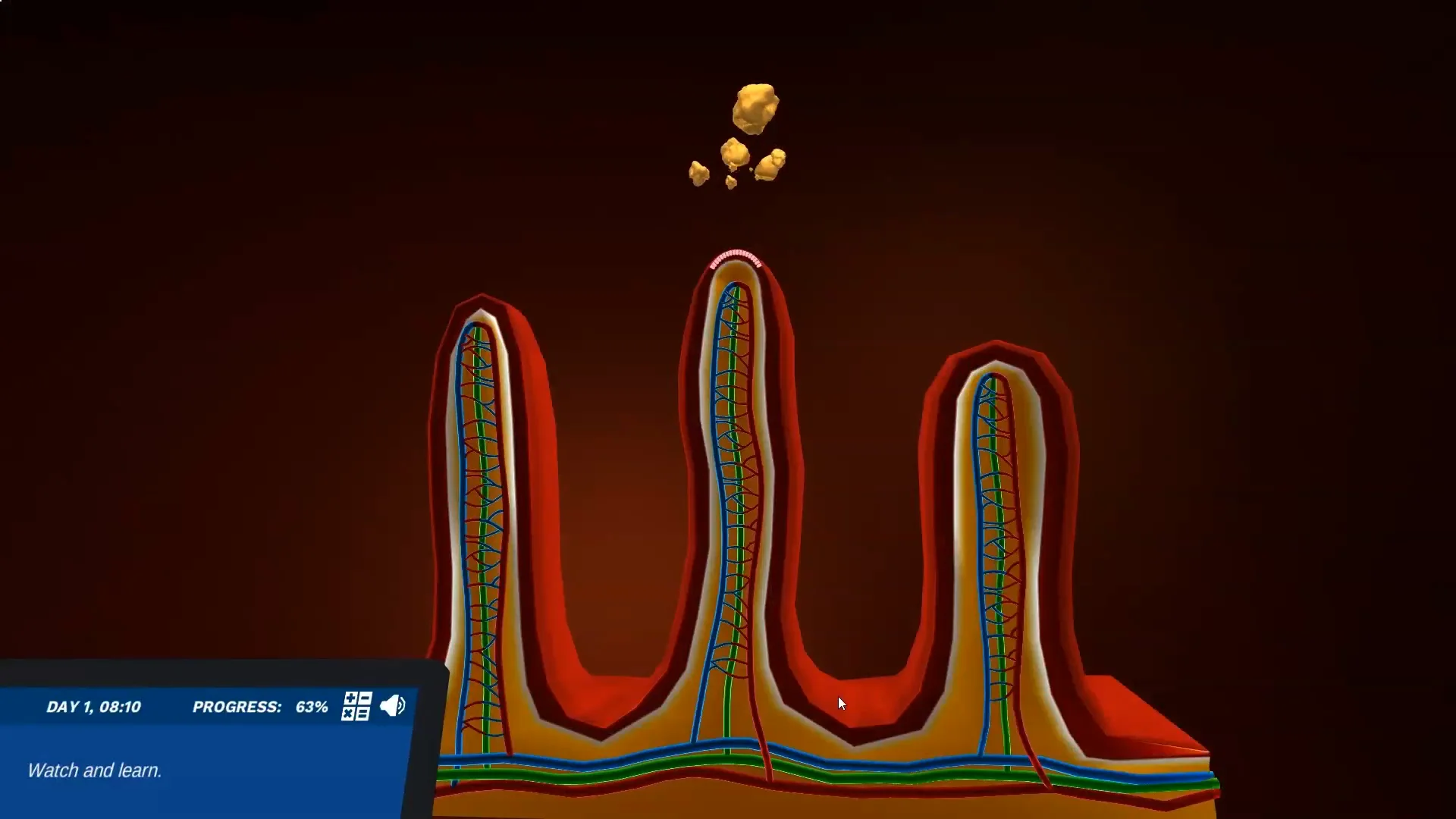Absorption In the Small and Large Intestines: Journey from the stomach to the bloodstream | Labster Virtual Labs Absorption In the Small and Large Intestines: Journey from the stomach to the bloodstream | Labster Virtual Labs