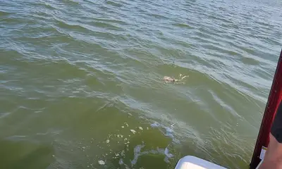 Port Orange Report Video 0
