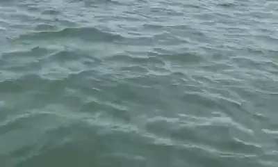 Fort Myers Report Video 0