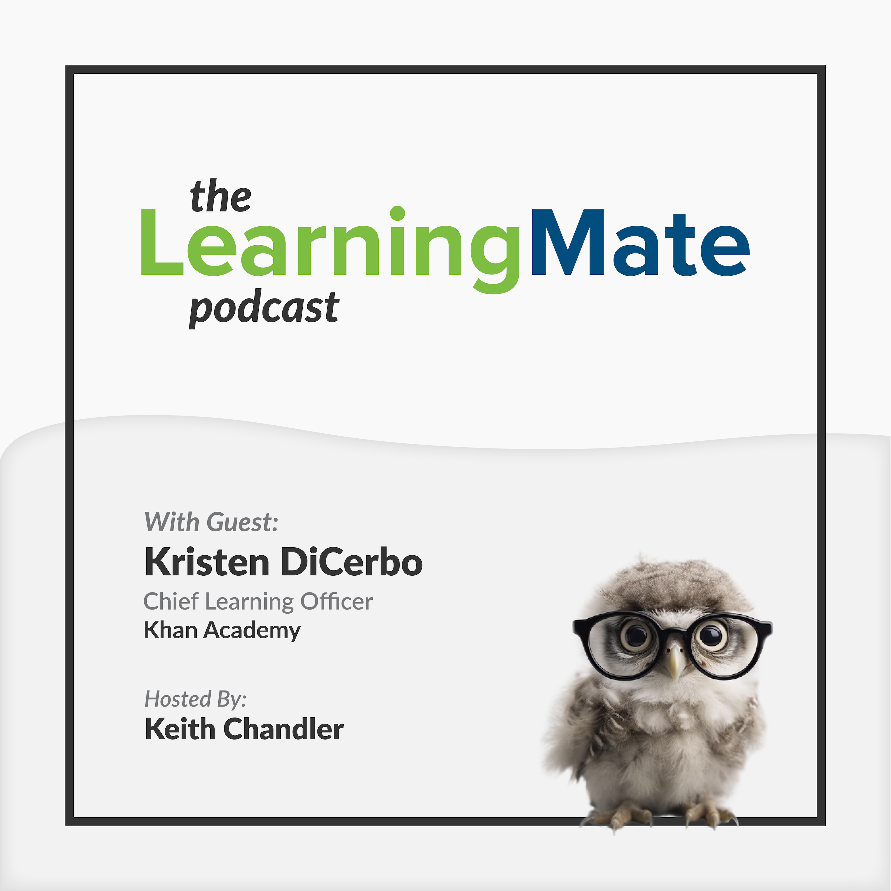 The LearningMate Podcast