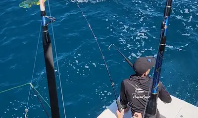 La Paz Report Video 0