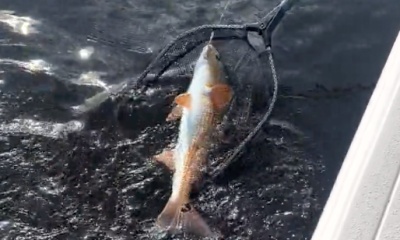 Great Vibes and Good fishing