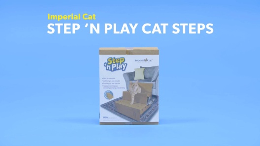 Play Video: Learn More About Imperial Cat From Our Team of Experts