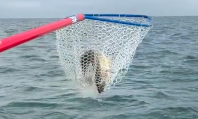 East Tawas Report Video 1