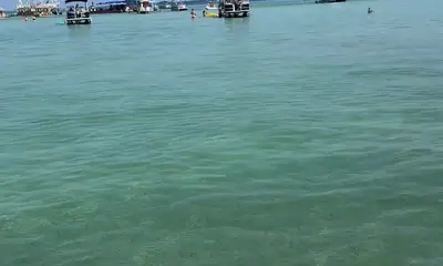 La mejor experiencia 