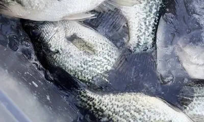 Clewiston Report Video 1