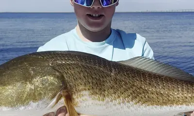 Tampa Report Video 0