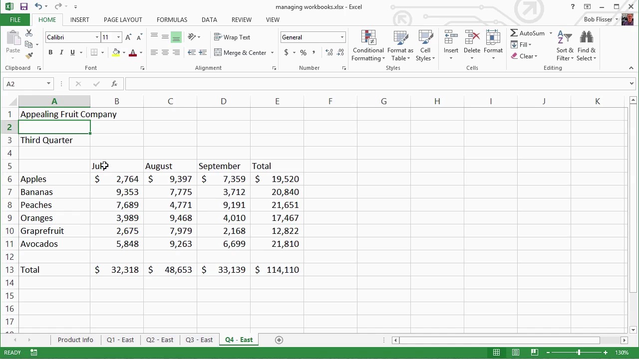 Introduction to Spreadsheets - Managing Worksheets