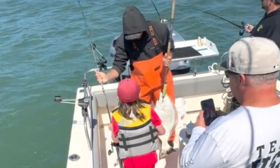 Berkeley Report Video 0