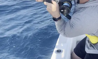 Great trip