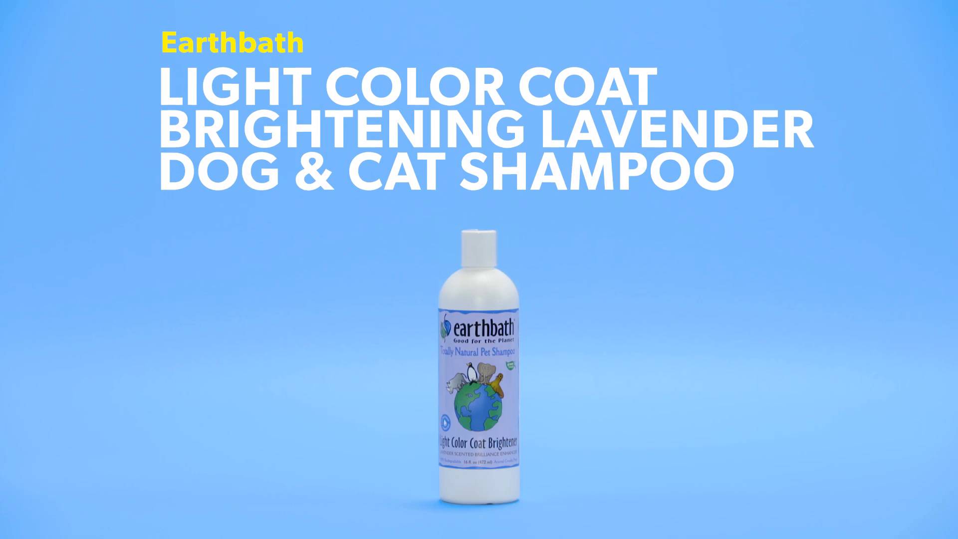 Earthbath coat hotsell brightening shampoo