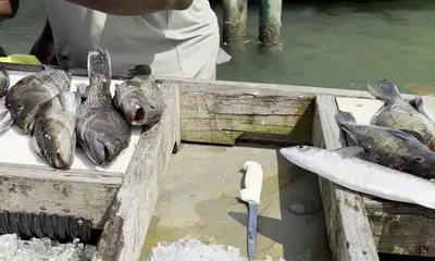 my dad had a great time