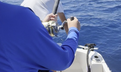 Bluefin in the Final Minutes!