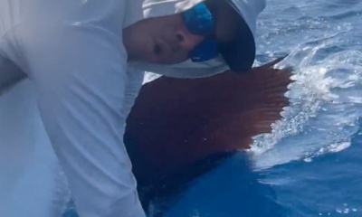 Quepos Report Video 0