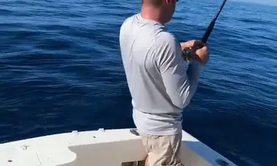 Baja California Sur Report Video 3