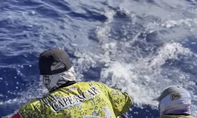 Cancún Report Video 1