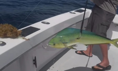 Fish On!