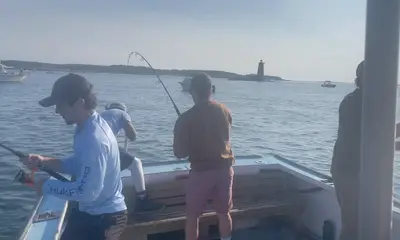 Kittery Report Video 0