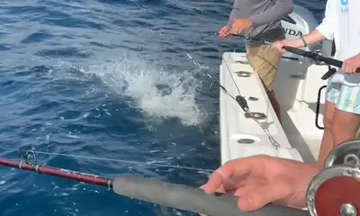 Wish We Would Have Picked 6  Hour Trip