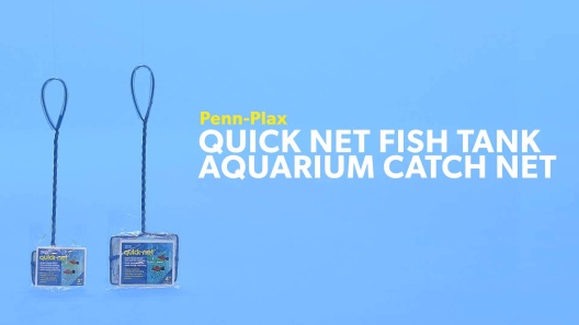 Penn Plax Brine Shrimp Aquarium Net : : Pet Supplies