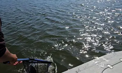 Corpus Christi Report Video 0