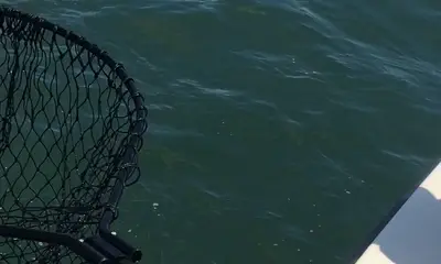 Poquoson Report Video 1