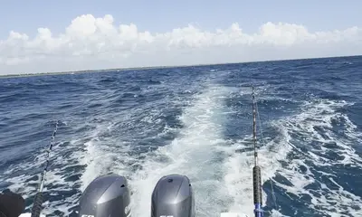 Tulum Verslag Video 0