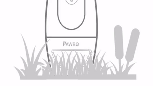 Play Video: Learn More About Pawbo From Our Team of Experts